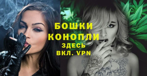 стаф Балахна
