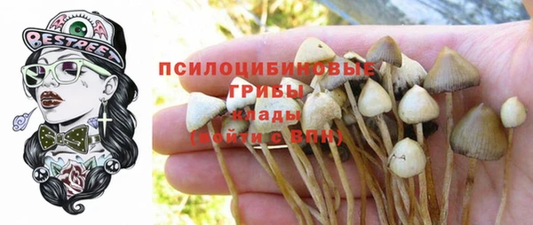 Альфа ПВП Балабаново