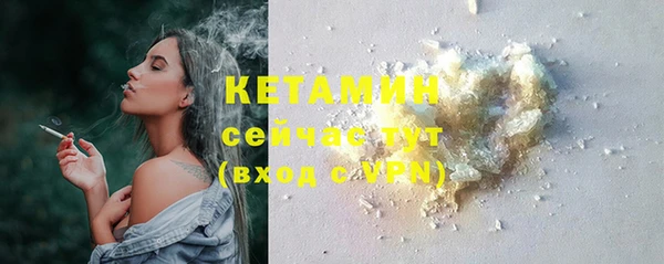шишки Беломорск