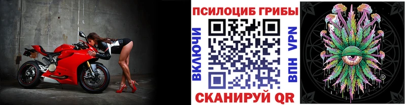 Галлюциногенные грибы Magic Shrooms  Купить закладки  Пугачёв 
